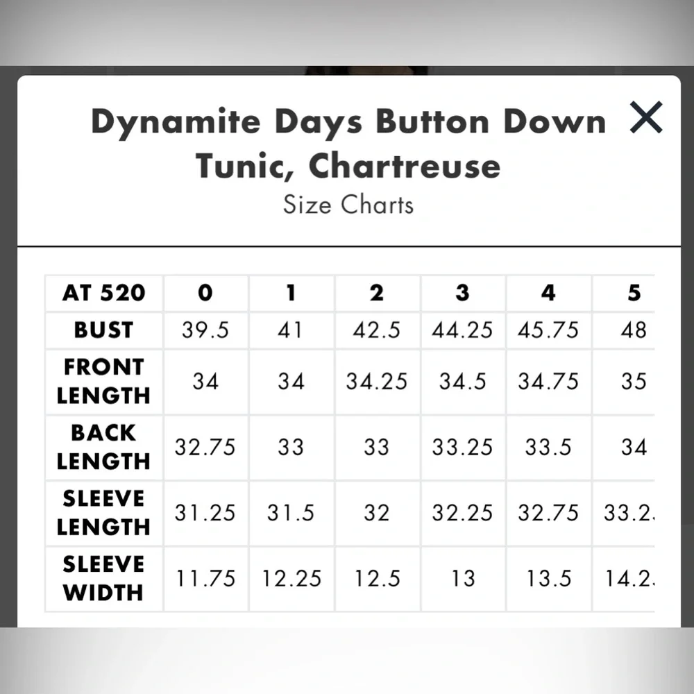 Alembika Dynamite Days Button Down Tunic